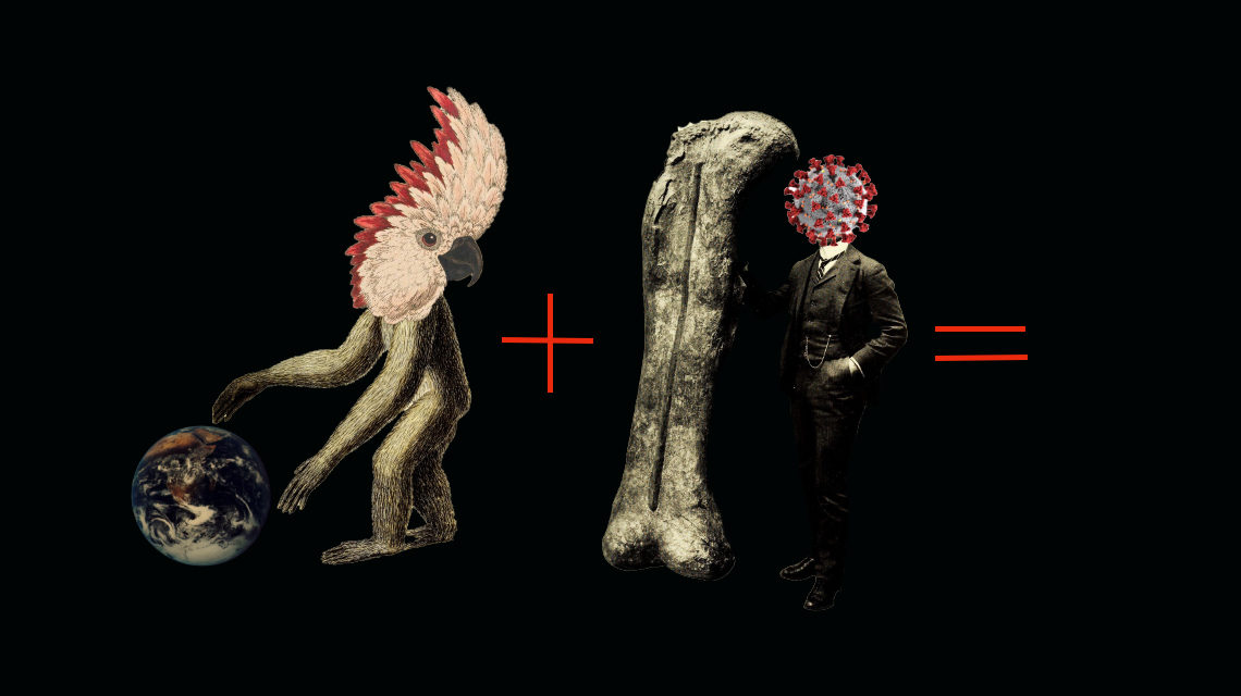 koronavírus