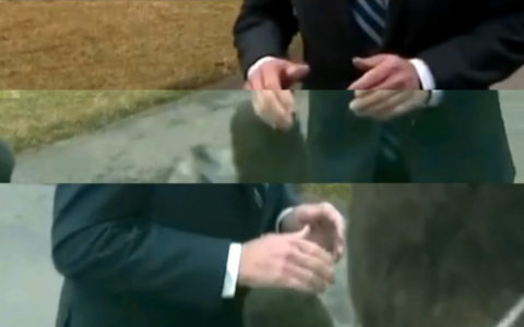 Joe Biden keze