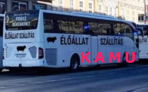 Békemenet kamu fotó