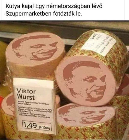 kutya kaja orbán viktor kamu