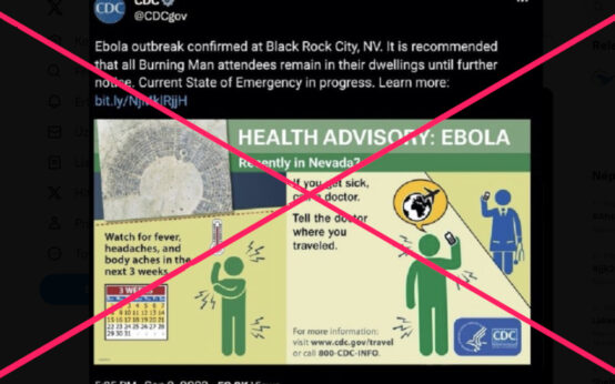 burning man ebola fake