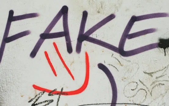 fake