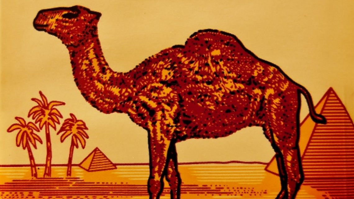Meztelen férfi a Camel logóban