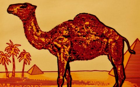 Meztelen férfi a Camel logóban