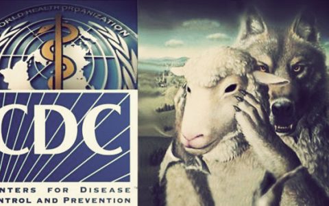 cdc ebola