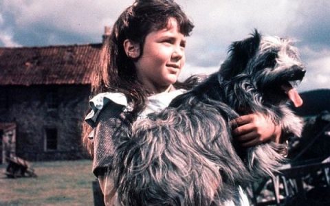 Greyfriars Bobby