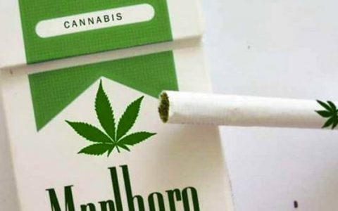 Marihuánás Marlboro