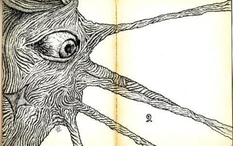 miskolci emberrablás bookart mozgalom