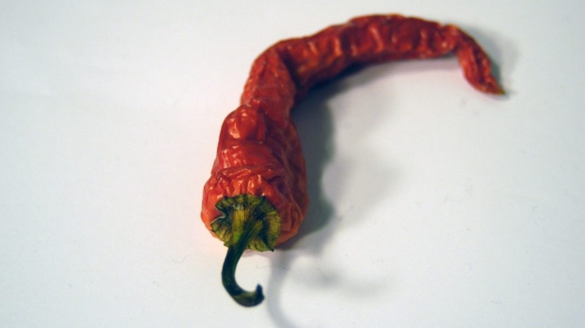 paprika
