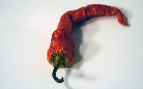 paprika