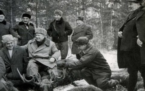 tito láncos kutya